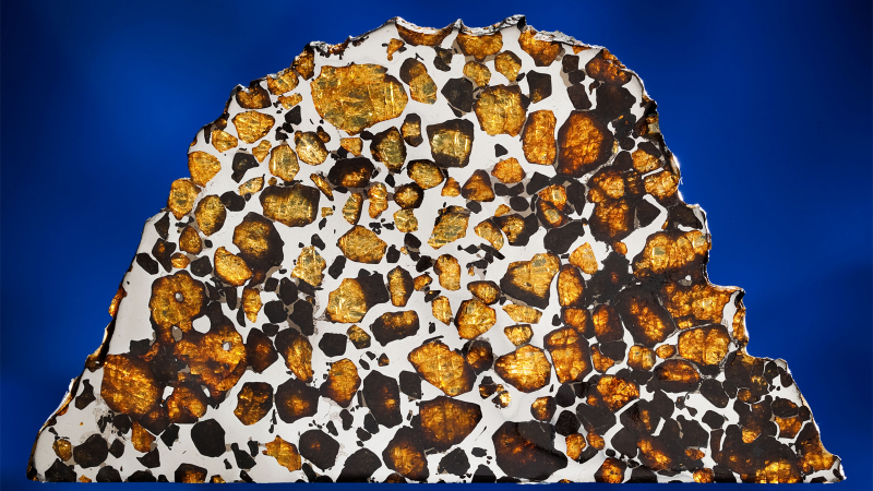 Illustration for article titled 30 Starry Wonders Hiding Inside of Dull Meteorites